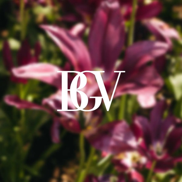 Landschaft BGV